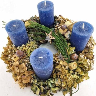 Advent Hortensien Blau 4