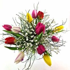 Zarte Tulpenliebe – bunter Tulpenstrauß mit Schleierkraut | Flowerpower Graz