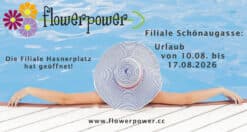 Sommerurlaub in der Schönaugasse